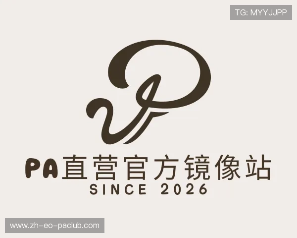 解读PA直营官方镜像站